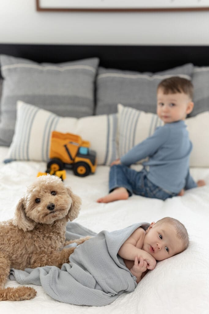 
in home newborn session Louisville KY toddler boy sitting on bed with newborn baby brother and family dog